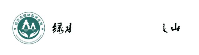 芳草地陈粒,芳草地国际学校富力又一城分校