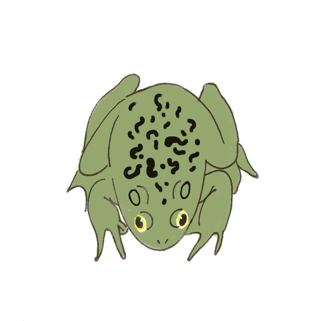 垃圾分类手册的教程,垃圾分类讲解的提纲