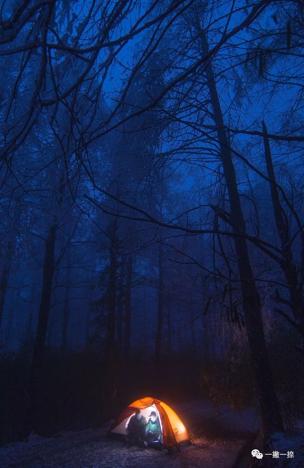 人民日报最经典的照片,人民日报年度好照片