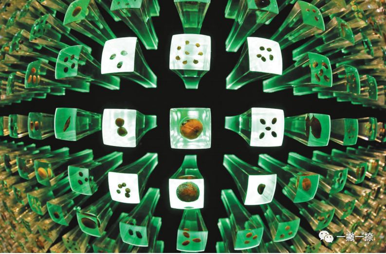 人民日报最经典照片,人民日报最惊艳的图片