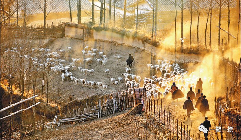 人民日报摄影照片,人民日报照片图