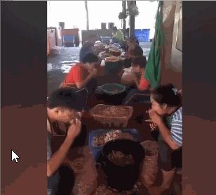 中国人最爱的脚，只有鸡jio