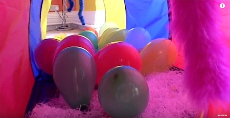 没有大人只有孩子一起住,没大人管的小孩