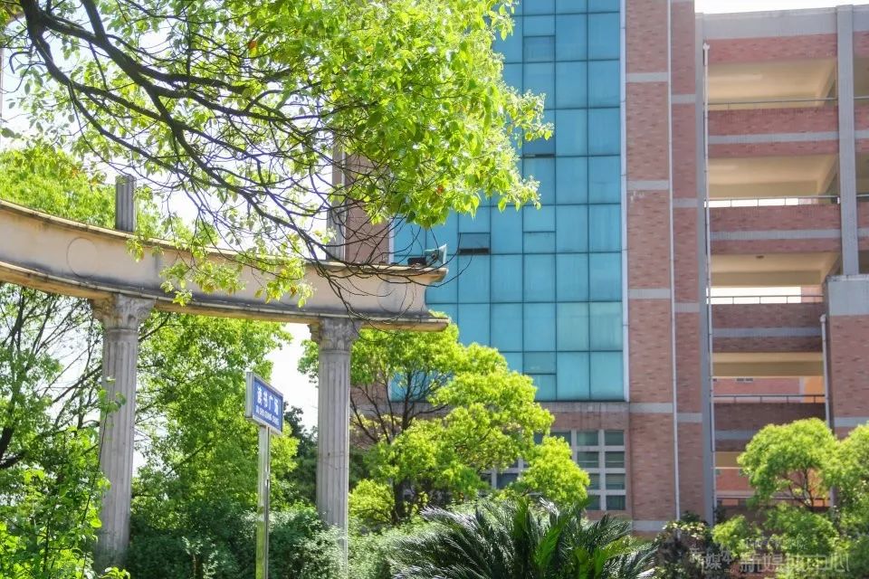 小江网红食品店,小江雪糕