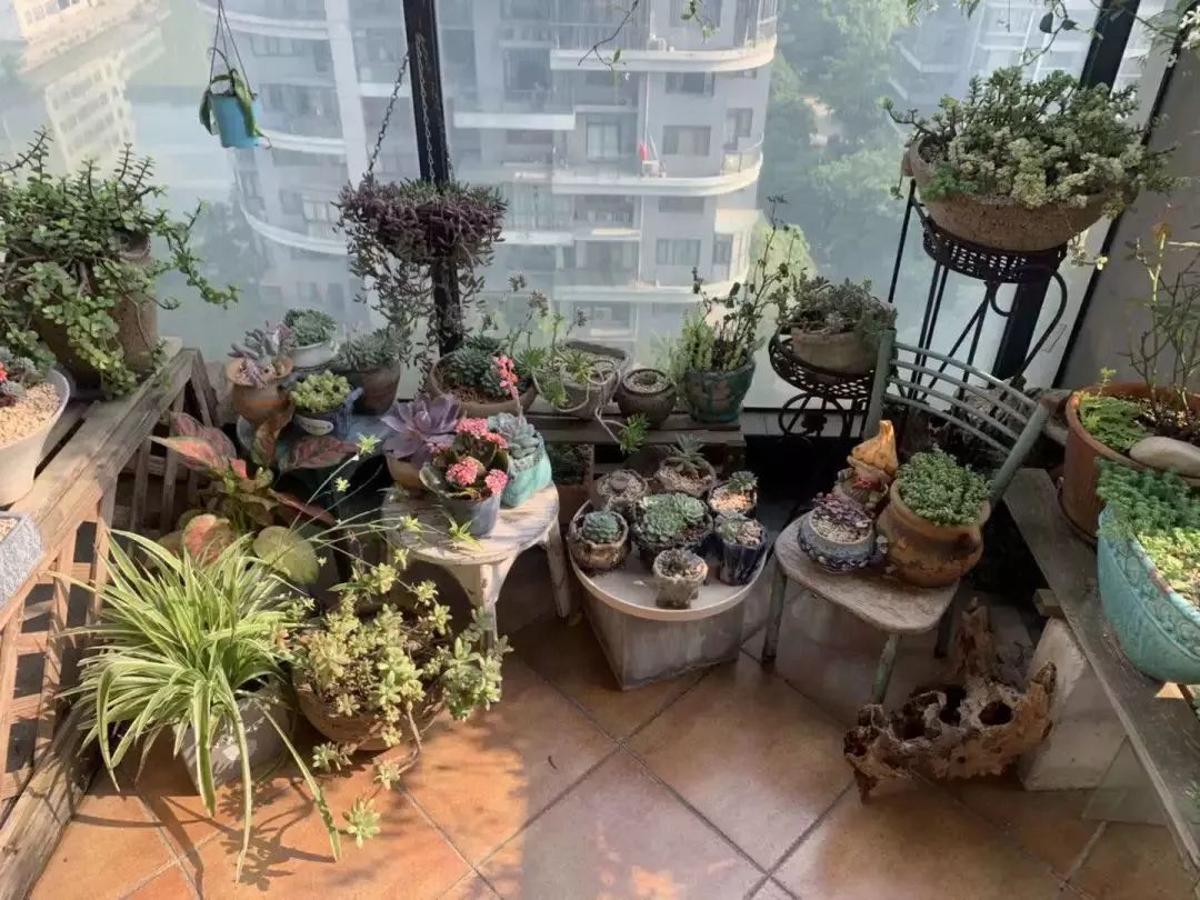 打造美好幸福的家,打造一片天地