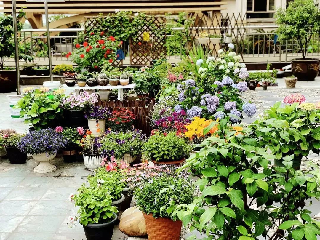 打造美好幸福的家,打造一片天地