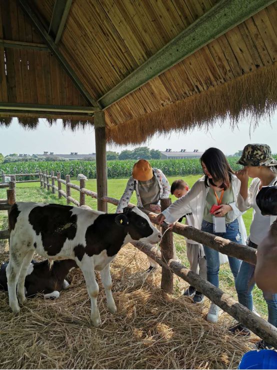 甯﹀瀛愬埌澶箹鑺辨捣缃戠孩鎵撳崱,鍋囨湡甯﹀瀛愭父婊ㄦ捣婀捐姳娴烽噷