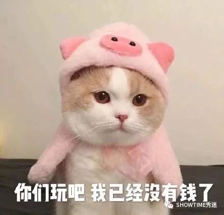 微商宠物狗骗局,宠物用品微商有哪些