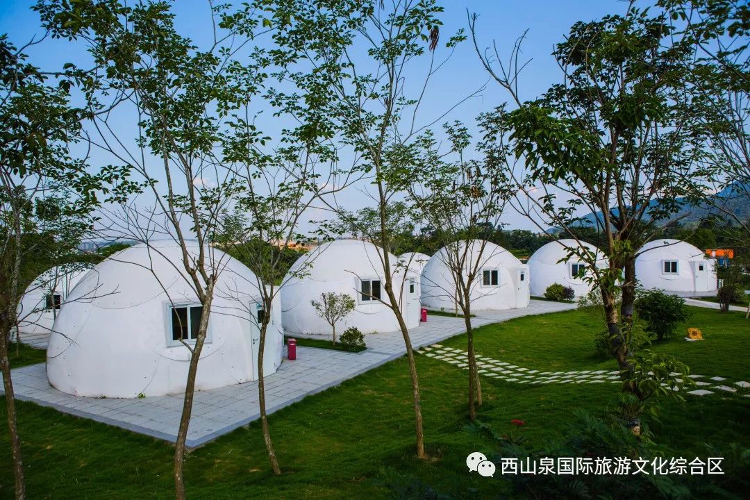 贵港周边网红打卡地一日游,贵港旅游团网红打卡景点