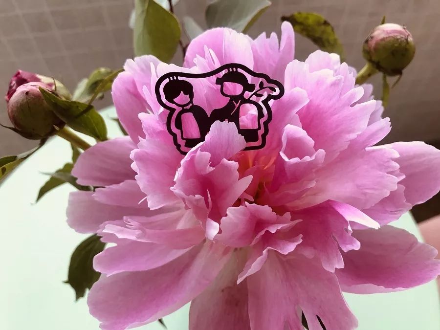 超超超超经典的演出，别错过！（含福利）