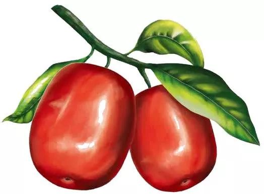 等你!认领相枣树,延续你与它的千年之约~