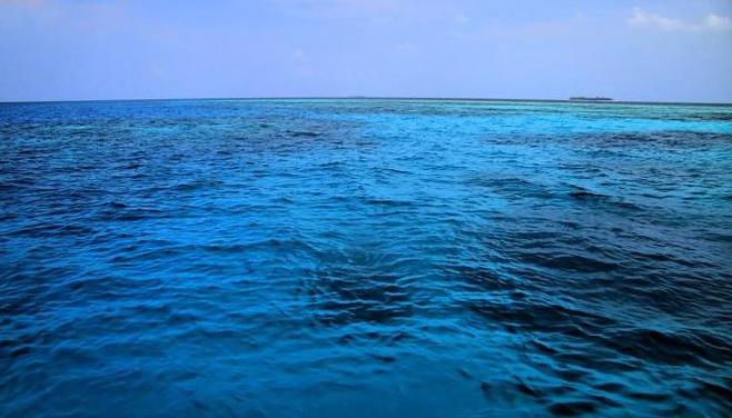 新海洋奇肌（CoralOcean，轻松破解时间奥秘