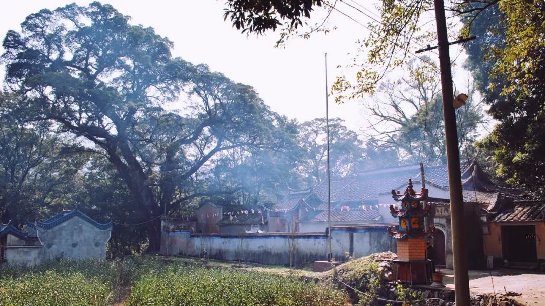 在宁德洋头，过了一段忘不掉的小生活！