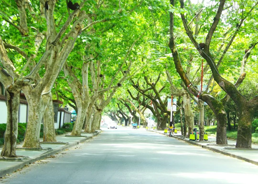 上海松江9号线路名,松江话讲松江历史