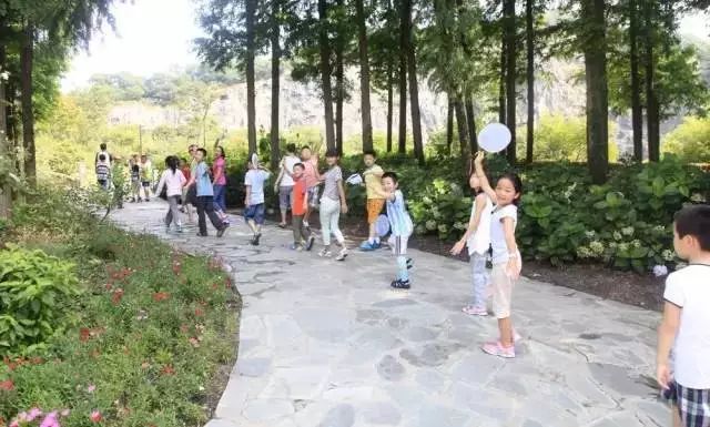 辰山植物园最近有什么活动,动植物园夏令营