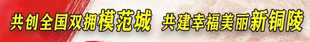 铜陵十佳优秀老师,铜陵老师获奖名单