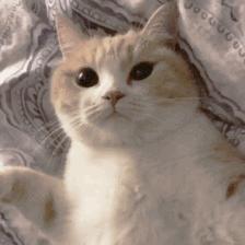 十款值得入手的奢华珠宝排行榜,珠宝十大轻奢品牌