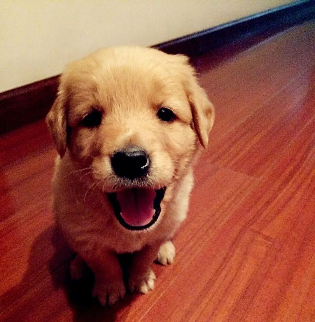 我终于战胜了抑郁症,感谢医生治好了抑郁症