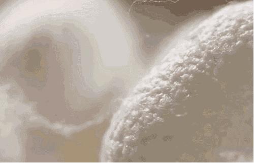 给长乐公主准备嫁妆比彩礼多,长乐女结婚嫁妆一般多少