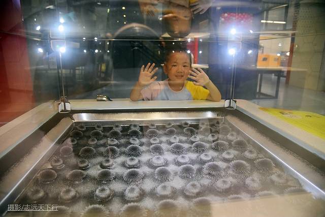 厦门最值得带孩子去玩的景点,带孩子厦门室内旅游景点推荐