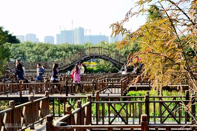 厦门最值得带孩子去玩的景点,带孩子厦门室内旅游景点推荐