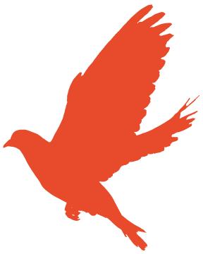 陕西省西安市大荔县荔东小学,大荔荔东小学关于党的教育