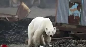 6月20日|新早读来了!*妇情**称被破坏家庭想断绝关系男子让派出所开*妇情**自愿证明