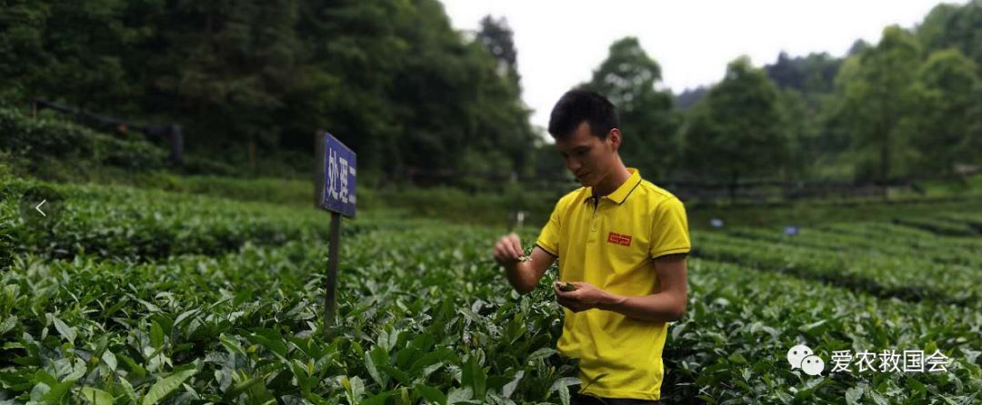 宀╄尪鍒惰尪鏁欏,鍒惰尪宸ヨ壓涓庤尪鏂囧寲