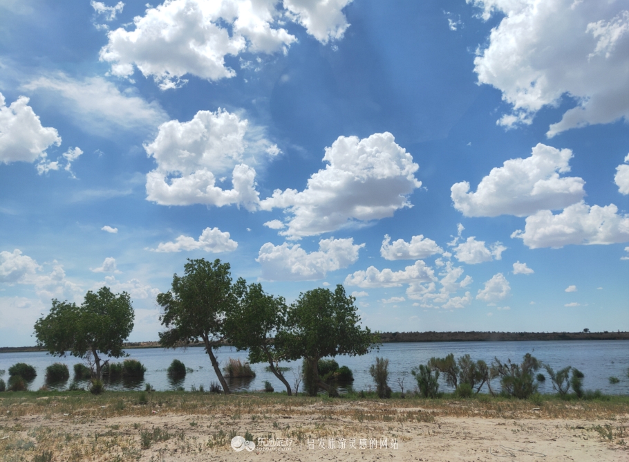 东道海子,东道海子最新