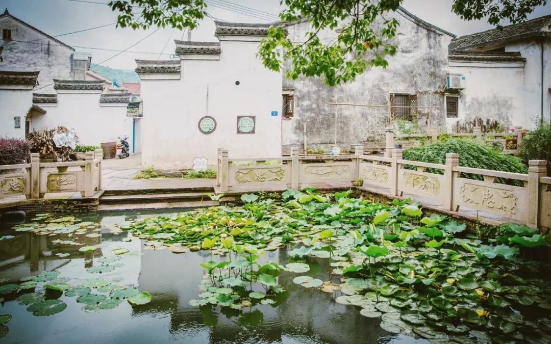 这座跟着周杰伦空降热搜的杨梅味小城,休渔期也能让你吃得满嘴鲜