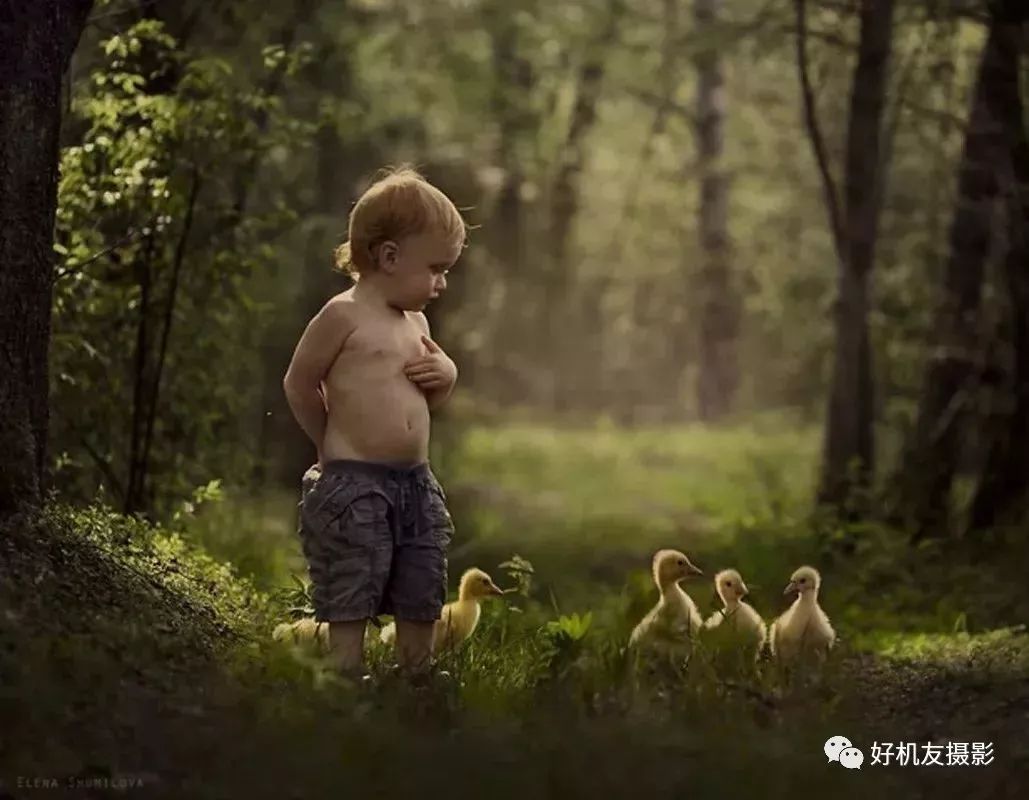 摄影中的空白与虚实,摄影中的景深三个要素