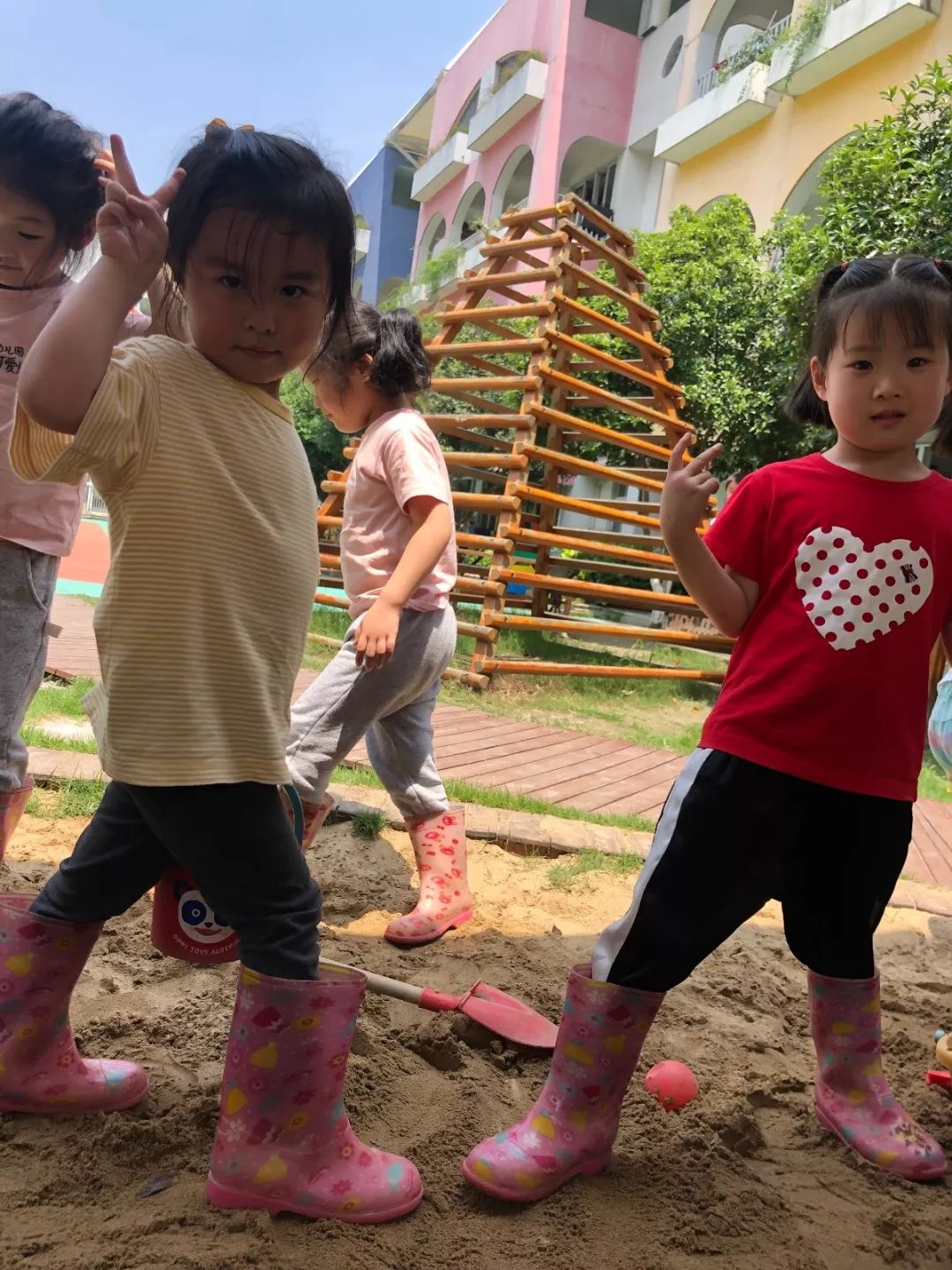 百合花课程,百合花课堂导入