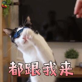 厦门旅游攻略避暑,厦门周边避暑哪里好玩