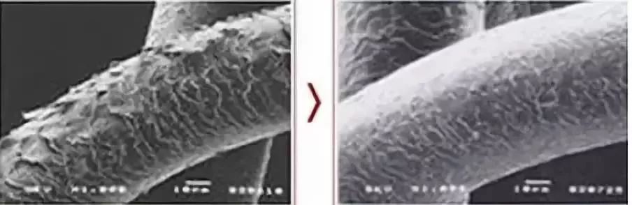 团|你的头发一根都不许掉！用它，还能3天不洗头依然干爽不油腻