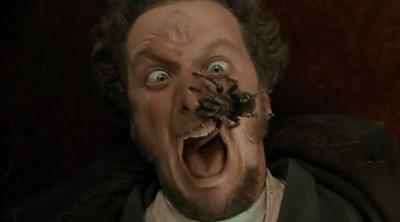 澳大利亚现巨型蜘蛛,澳大利亚巨型蜘蛛在哪出现