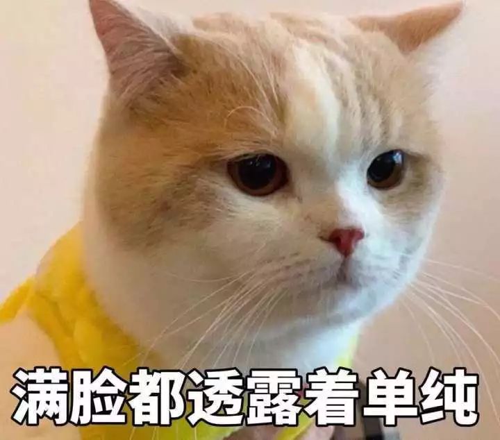 警惕这种网贷套路已有人被骗16万,紧急预警投资理财诈骗案件飙升