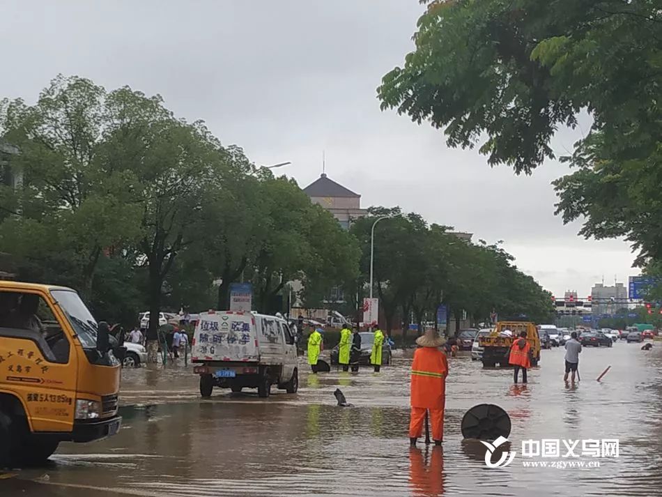 娴欐睙涔変箤杩欎袱澶╃殑瑙嗛,涔変箤杩欎袱澶╃殑瑙嗛