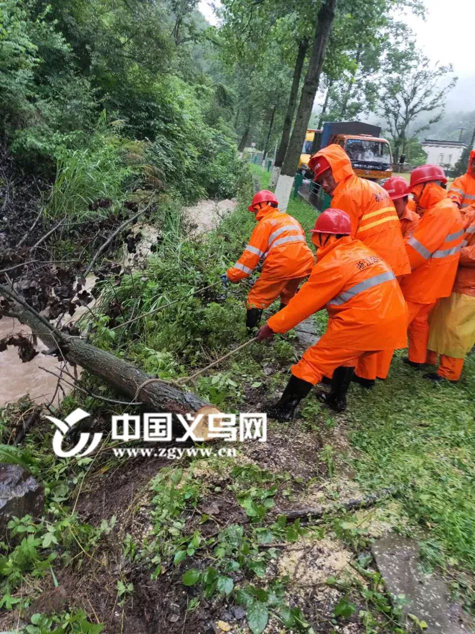 娴欐睙涔変箤杩欎袱澶╃殑瑙嗛,涔変箤杩欎袱澶╃殑瑙嗛