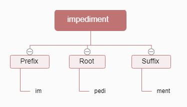 破冰行动|词缀Ped-的那些事