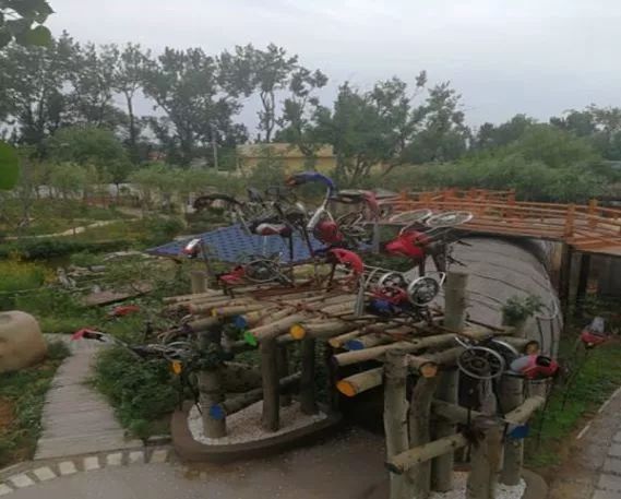 海洋夏令营,2017北戴河夏令营