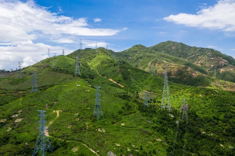 电网男女送礼都有啥？网友：送个锤子