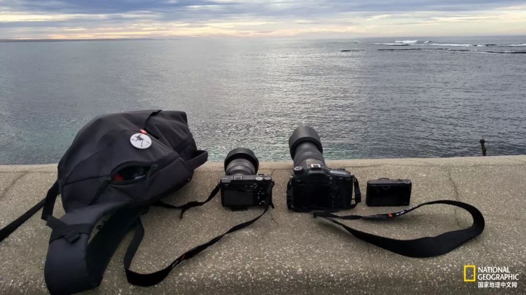 热爱摄影热爱跑步热爱生活,如果你热爱拍照