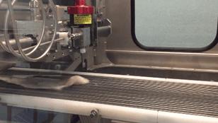 该不该给宝宝买鳕鱼,鳕鱼买哪种鳕鱼给宝宝吃