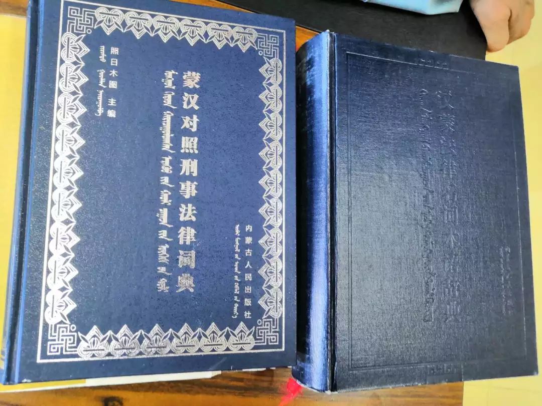 人物|照日木图“蒙古马”精神的践行者