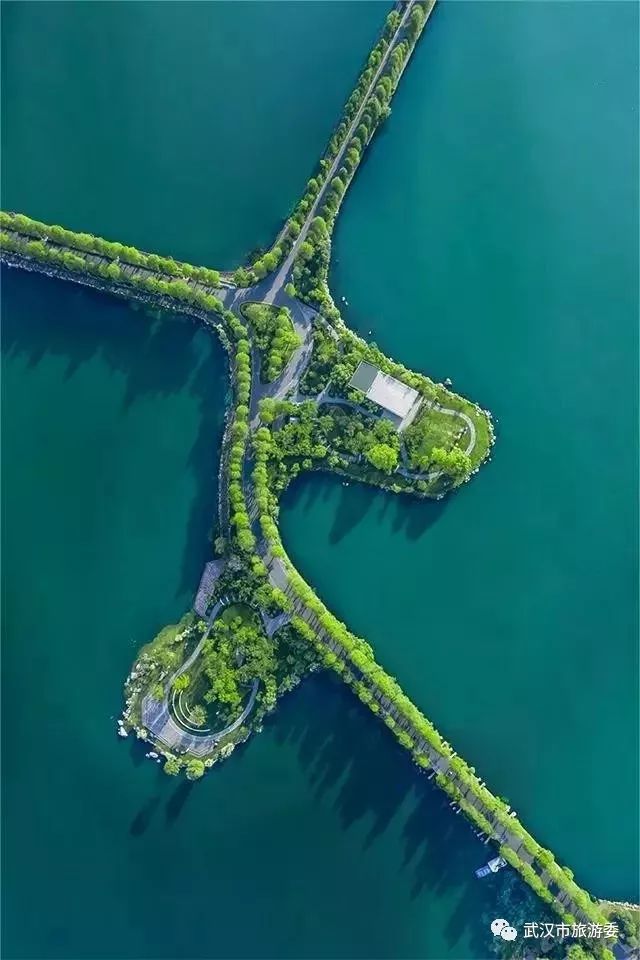 来武汉读书第一年,来武汉上大学的理由