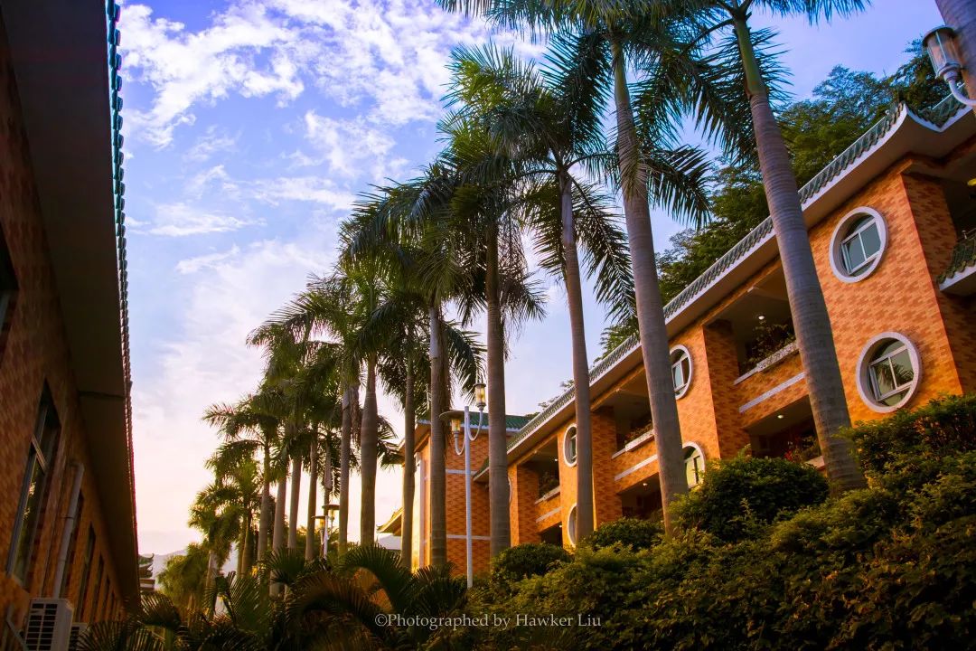 开学动感大片,开学震撼大片