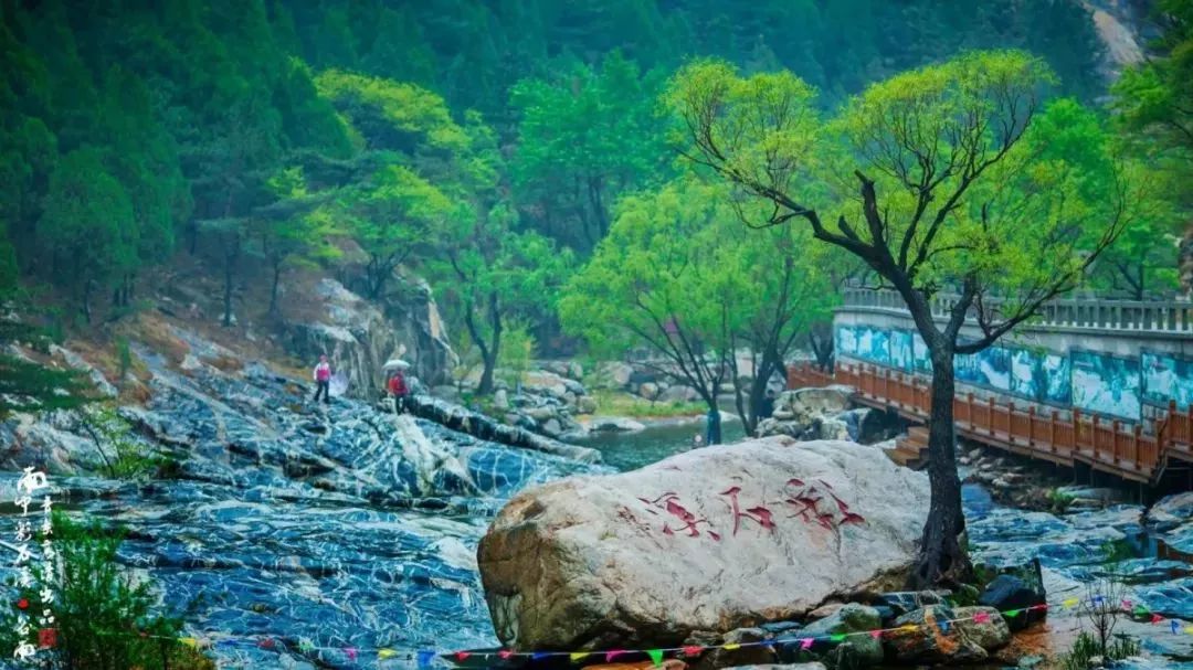 天下第一山泰山视频,天下第一山天子山