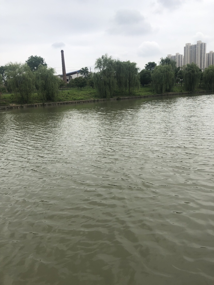 风大浪大好钓海鱼吗,风大浪大钓底还是钓浮