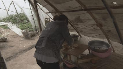 夏邑县美丽乡村介绍,美丽乡村之全景地图夏邑