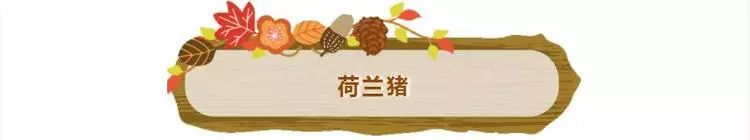 普通门票疯狂动物城,假期打卡疯狂动物城